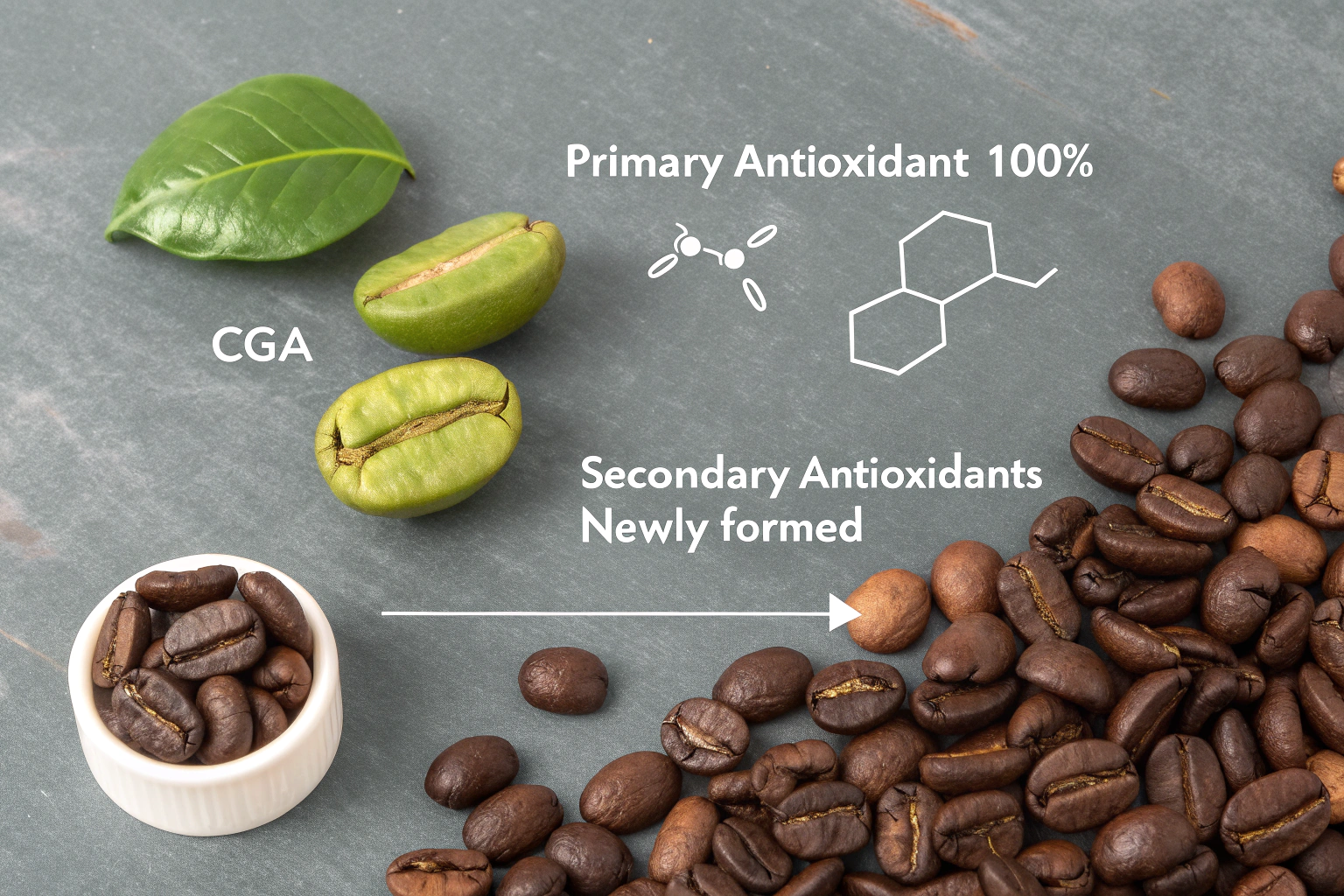 What Is the Real Impact of Roast Levels on Coffee’s Antioxidant Levels?