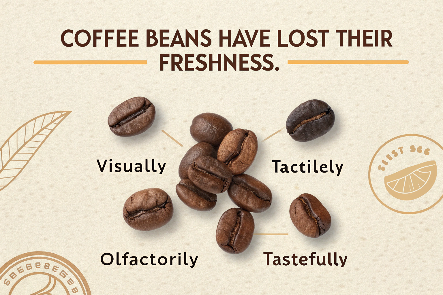 How to Tell If Coffee Beans Have Lost Their Freshness or Gone Stale?