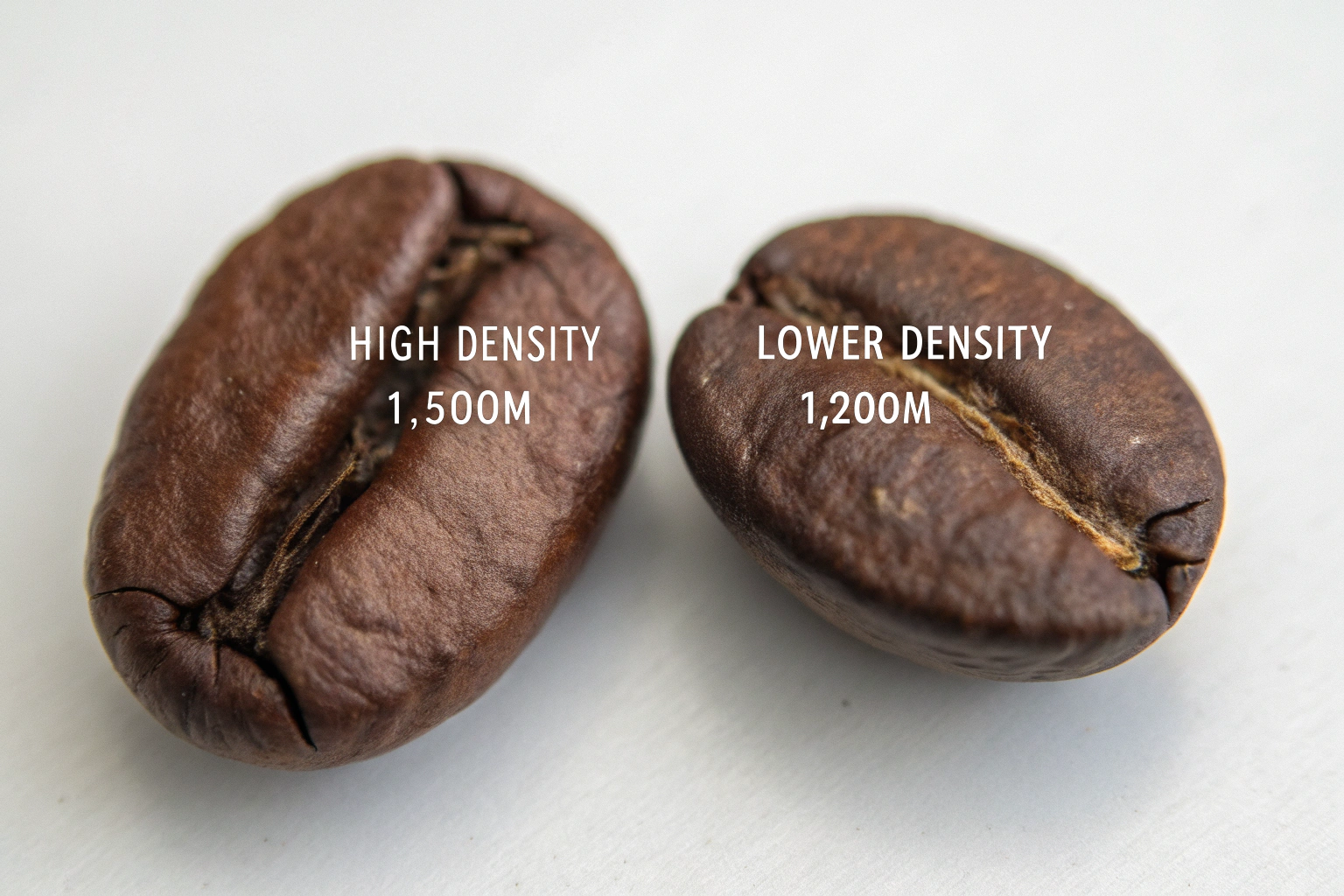 Why Is My Coffee Roast Uneven Even with High Quality Beans?