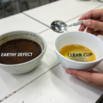 Why Do Some Chinese Coffee Beans Taste Earthy and How to Avoid It?
