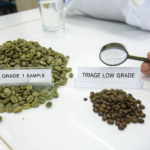 How to Ensure Your Coffee Supplier Isn't Mixing Lower Grade Beans?