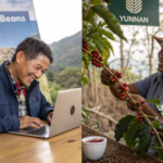 Where to Buy Catimor Coffee Beans in Bulk?