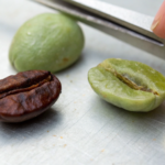 Why Are Long Fermentation Times Risky for Coffee Bean Quality?