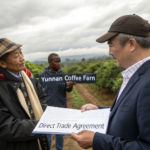 How to Secure Exclusivity on a Specific Yunnan Coffee Farm Lot?