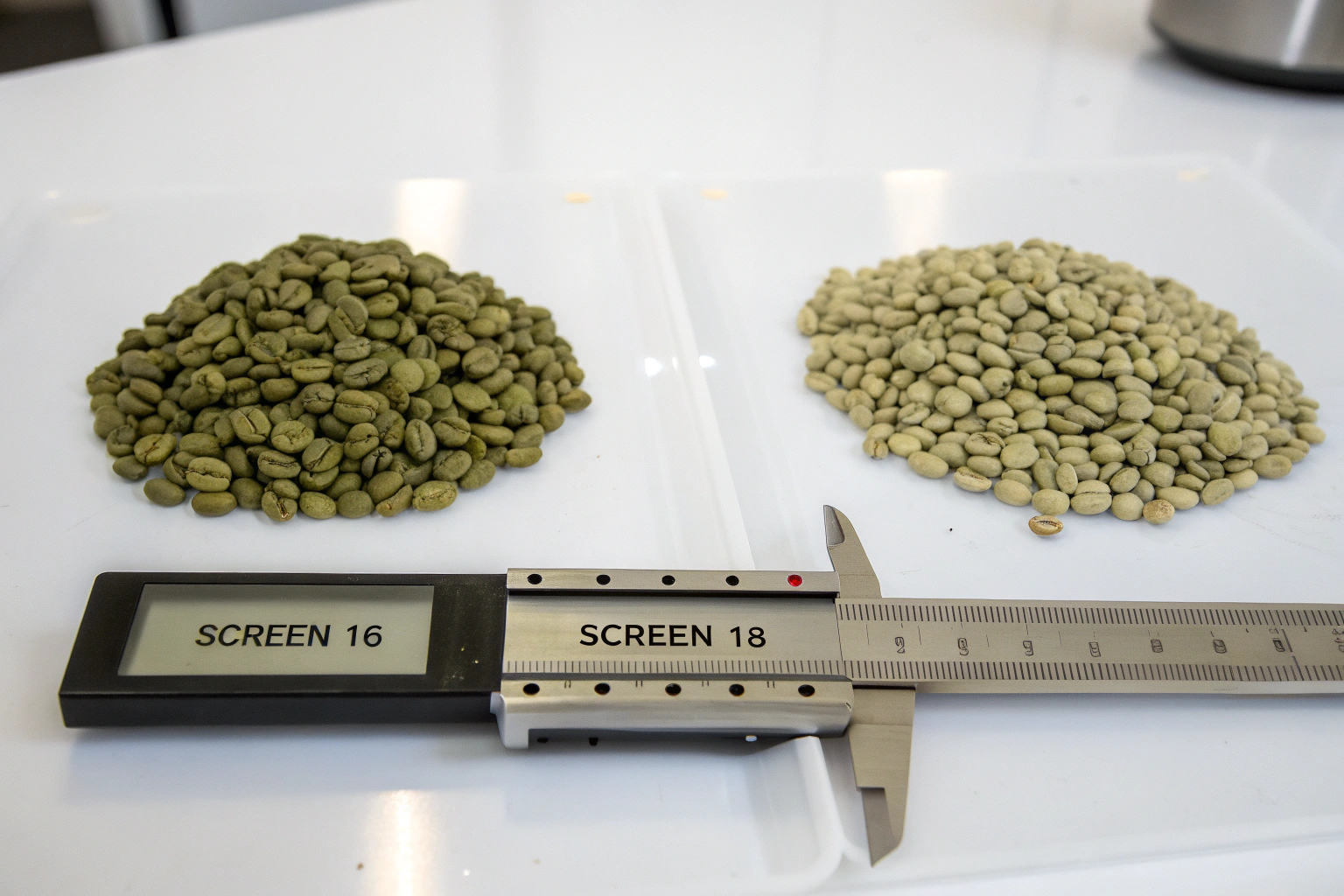What Is the Difference Between Screen 16 and 18 Beans?