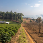 What Is Carbon-Neutral Coffee and Does It Matter?