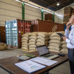 How to Choose Between Air Freight and Sea Freight?